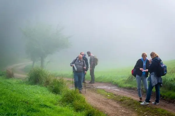 Wanderer auf einem schmalen Weg in nebliger Landschaft mit Gras und Bäumen