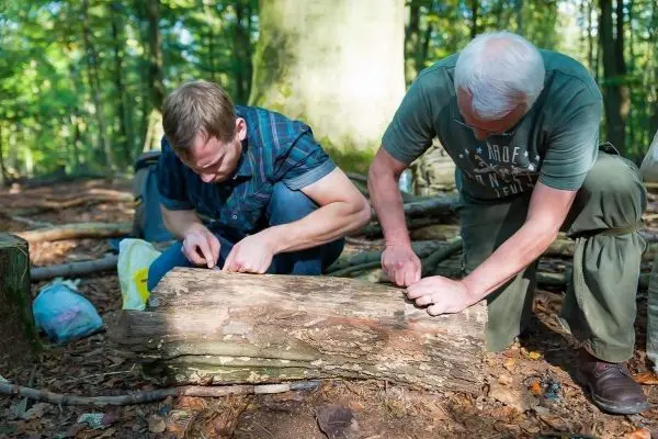 Zwei Personen bearbeiten einen Baumstamm mit Messern im Wald