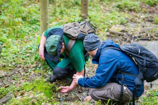 Zwei Personen untersuchen den Boden im Wald und zeigen auf etwas Kleines