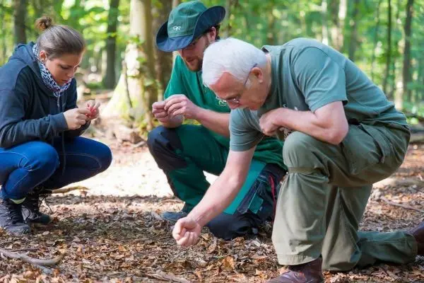 Zwei Personen untersuchen den Boden im Wald, während eine dritte mit Schnüren arbeitet
