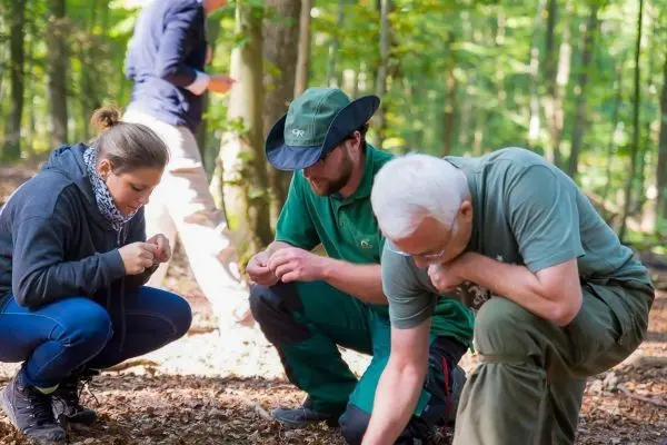 Zwei Personen untersuchen den Boden im Wald, während eine weitere Person im Hintergrund steht