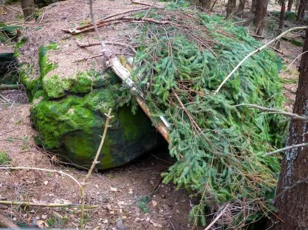 Bedeckter Felsen mit Ästen und Tannenzweigen als Notunterkunft im Wald