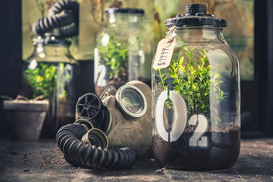 Urban survival