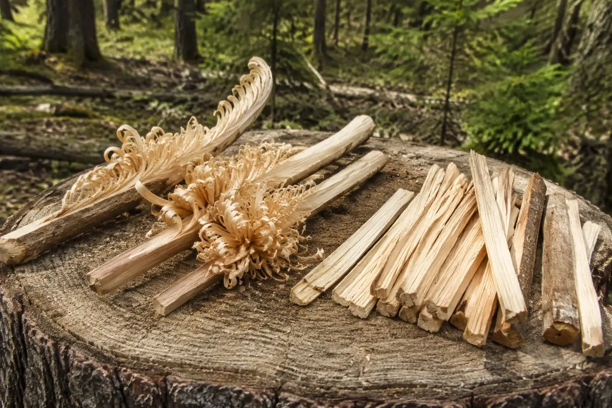 Feather Sticks mit vielen dünnen Holzlocken und vorbereitetem Feinholz