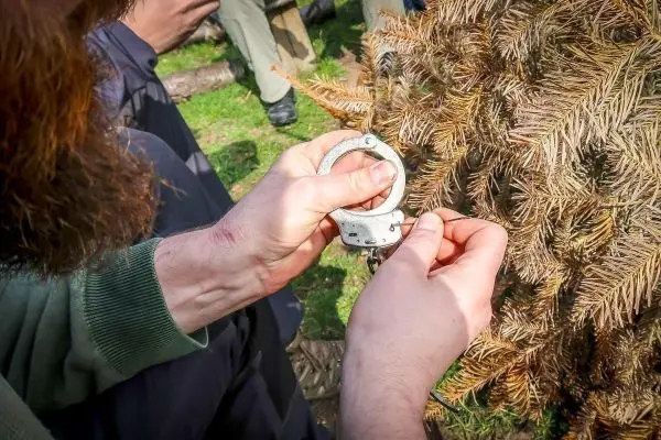 Hand befestigt Handschellen an einem Baumzweig
