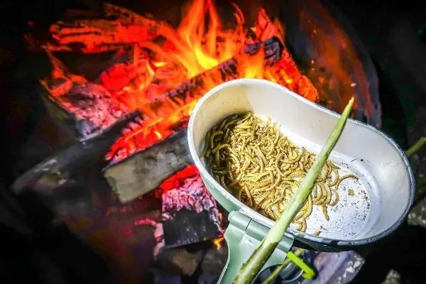 In einem Topf werden Insekten über einem offenen Feuer erhitzt