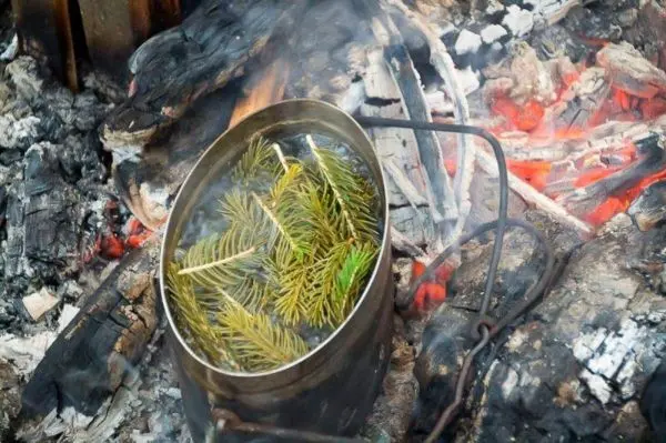 Kessel mit Wasser und Tannenzweigen über Glut erhitzt