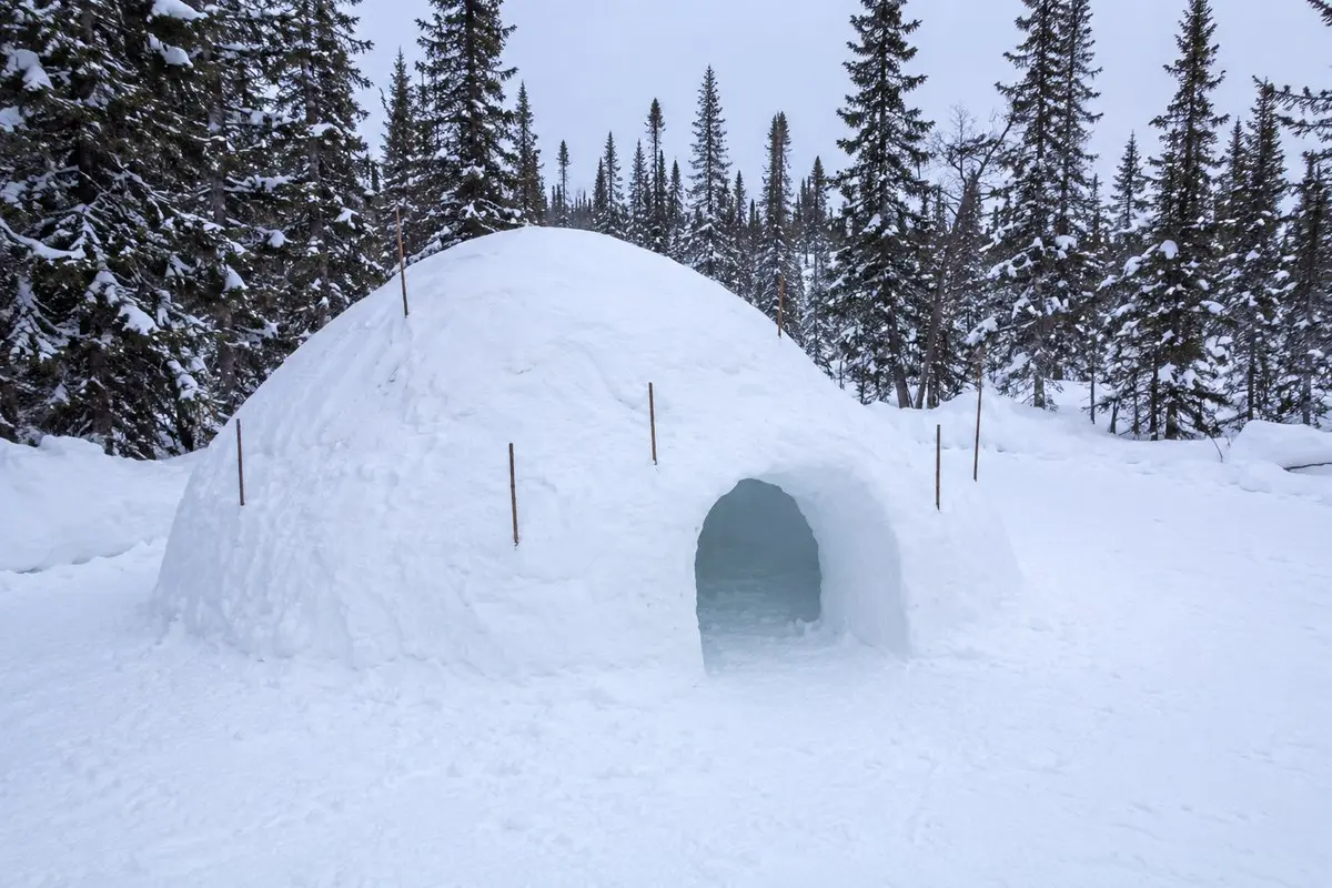 Quinzhee-Schneeshelter mit niedrigem Eingang und Markierstäben