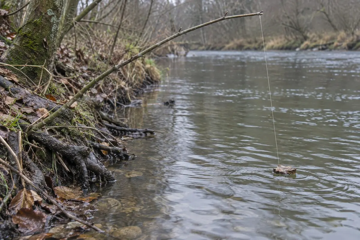 Eine dünne Angelschnur ist an der Spitze eines federnden Haselastes befestigt und führt über einen kleinen Rindenanzeiger ins Wasser.