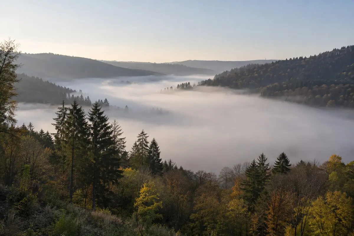 Dichter Nebel liegt in einem bewaldeten mitteleuropäischen Tal, während die Höhen darüber frei sind