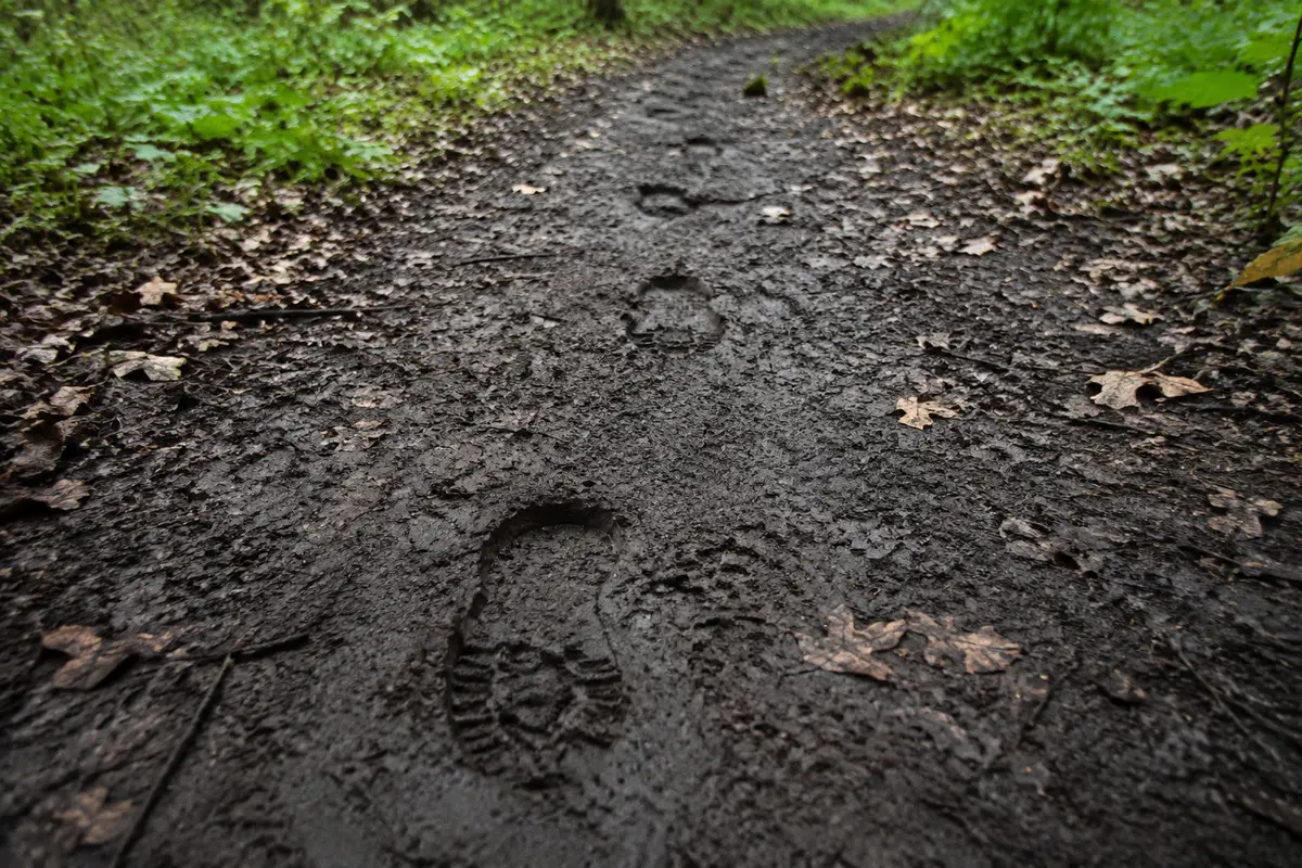 Menschliche Schuhspuren auf feuchtem Waldboden