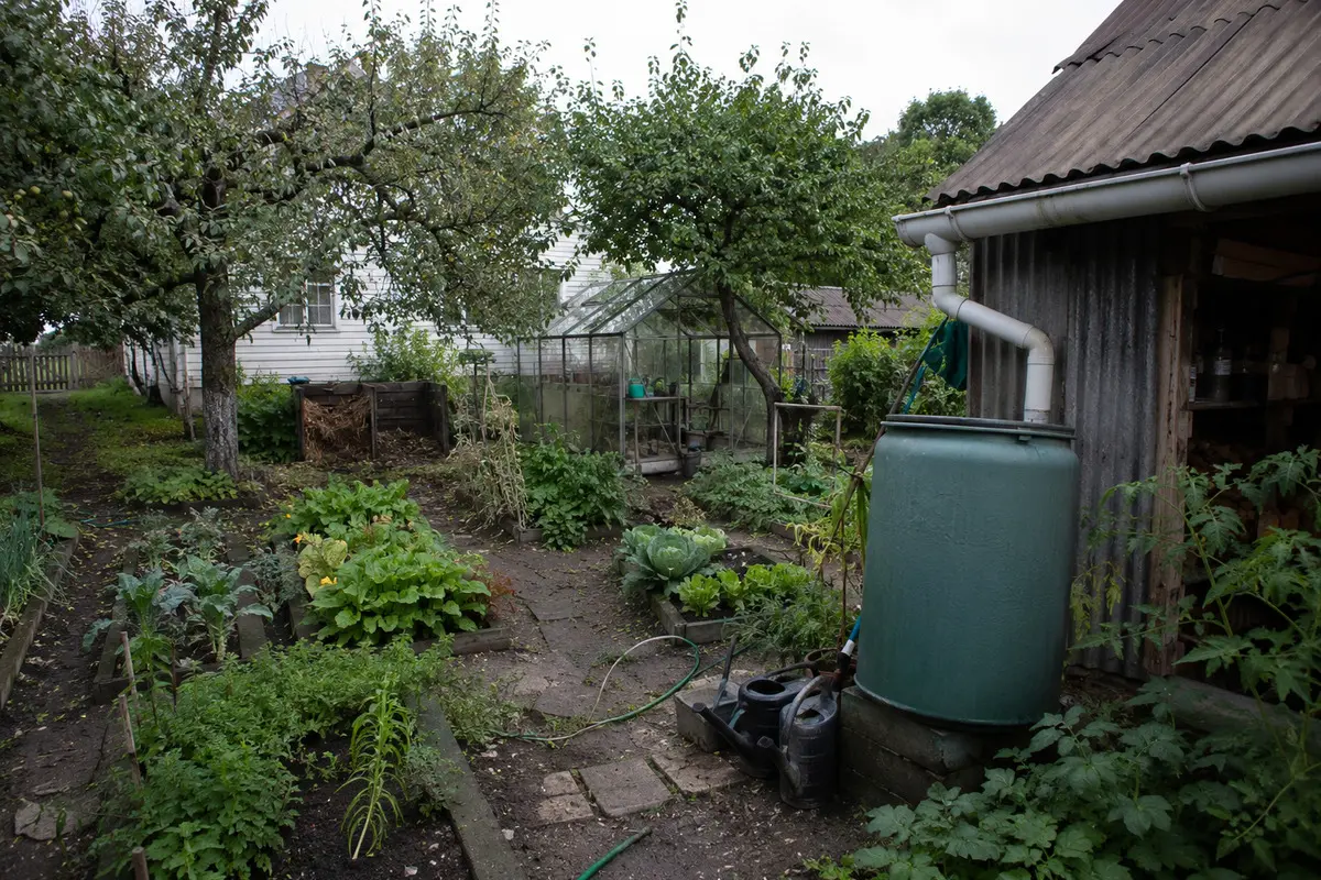 Gemüsebeete, Gewächshaus und Regenwassertank