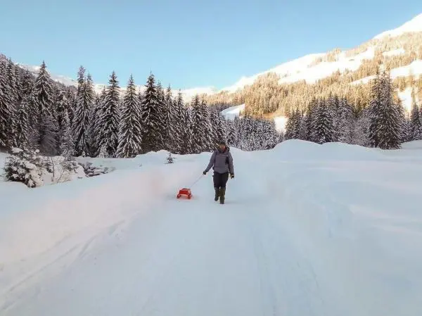 Schneeschaufel schiebt Schnee auf einem verschneiten Weg zwischen Tannen
