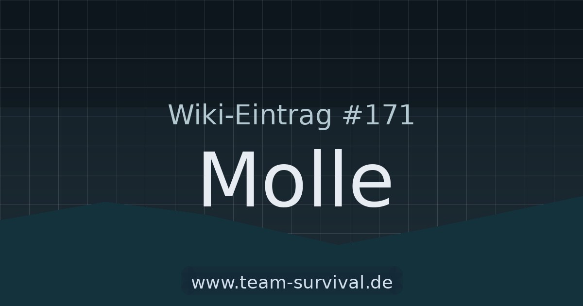 Molle – Wiki